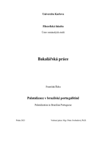 Náhled dokumentu