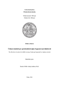 Document thumbnail