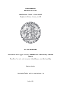 Document thumbnail