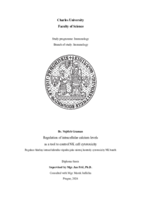 Document thumbnail