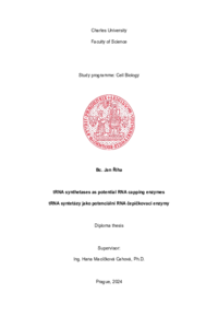 Document thumbnail