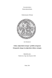 Document thumbnail