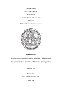 Document thumbnail