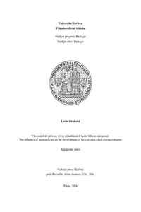 Document thumbnail