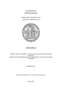 Náhled dokumentu