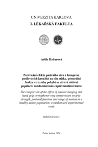 Document thumbnail