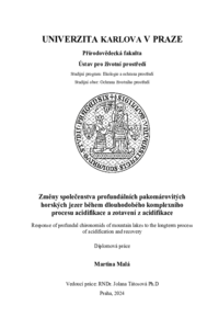 Document thumbnail