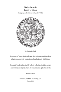 Document thumbnail