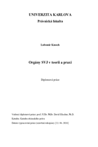 Document thumbnail