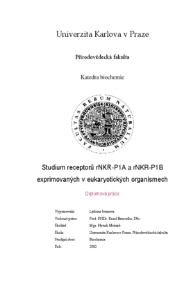 Document thumbnail