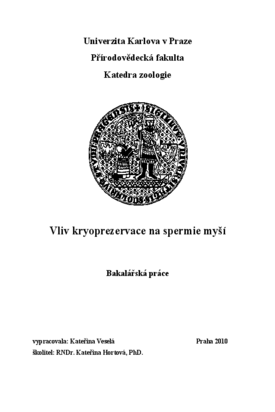 Document thumbnail