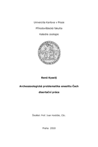 Document thumbnail
