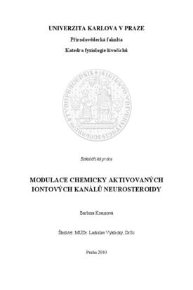 Document thumbnail