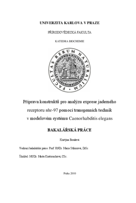 Document thumbnail
