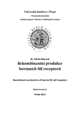 Náhled dokumentu
