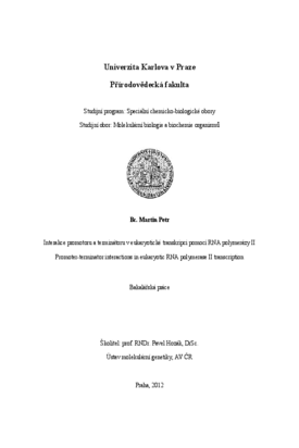 Document thumbnail
