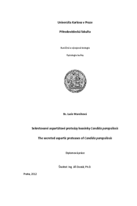 Document thumbnail