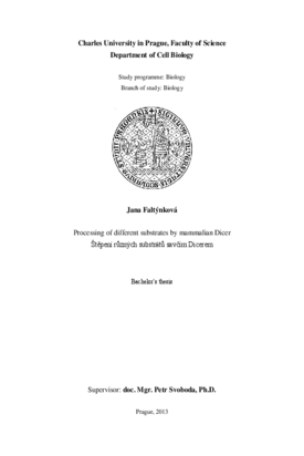 Document thumbnail