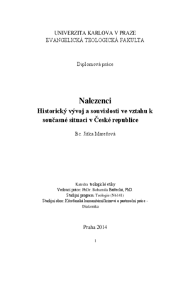 Náhled dokumentu